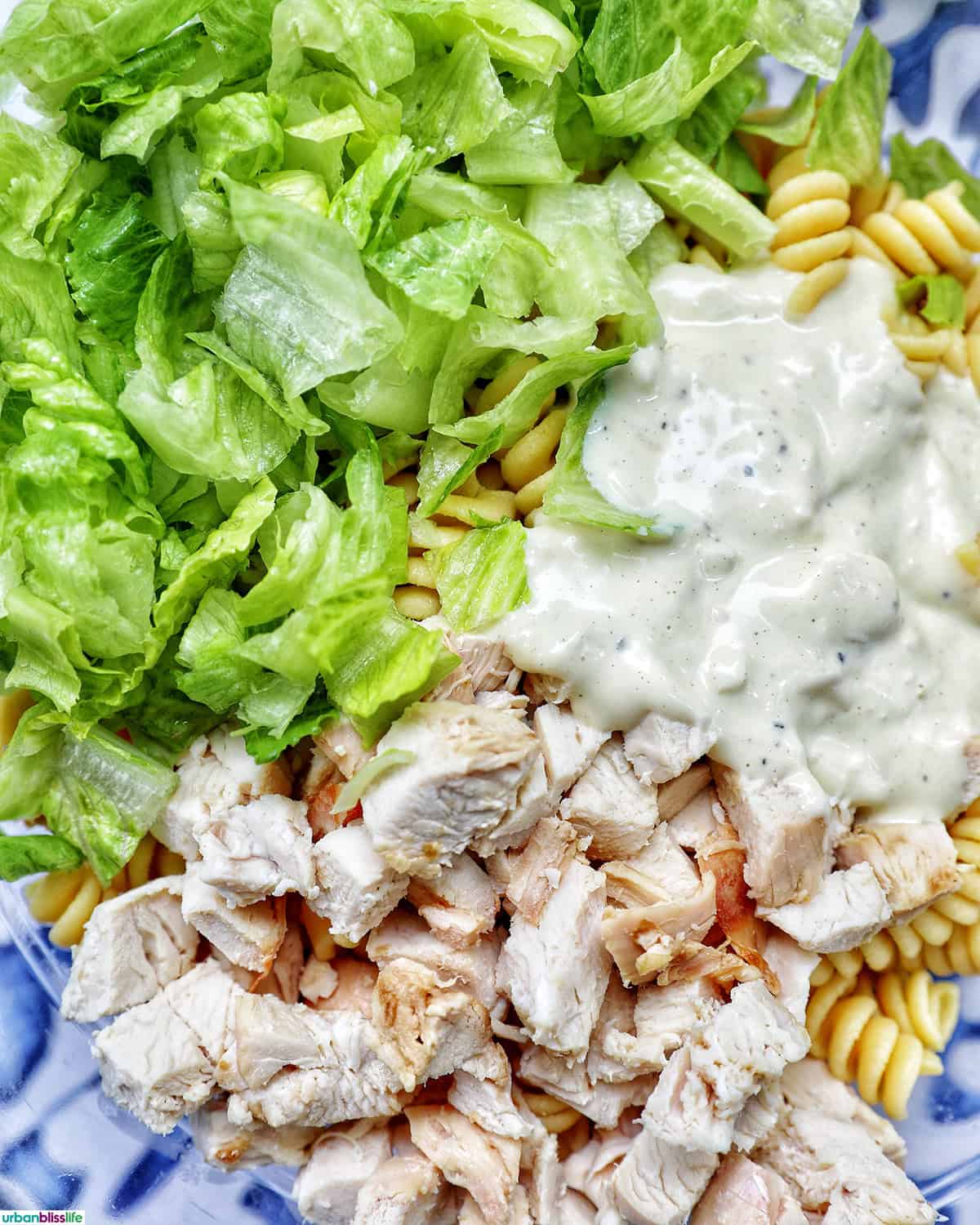 romaine lettuce, chicken, pasta, and Caesar dressing in a bowl.