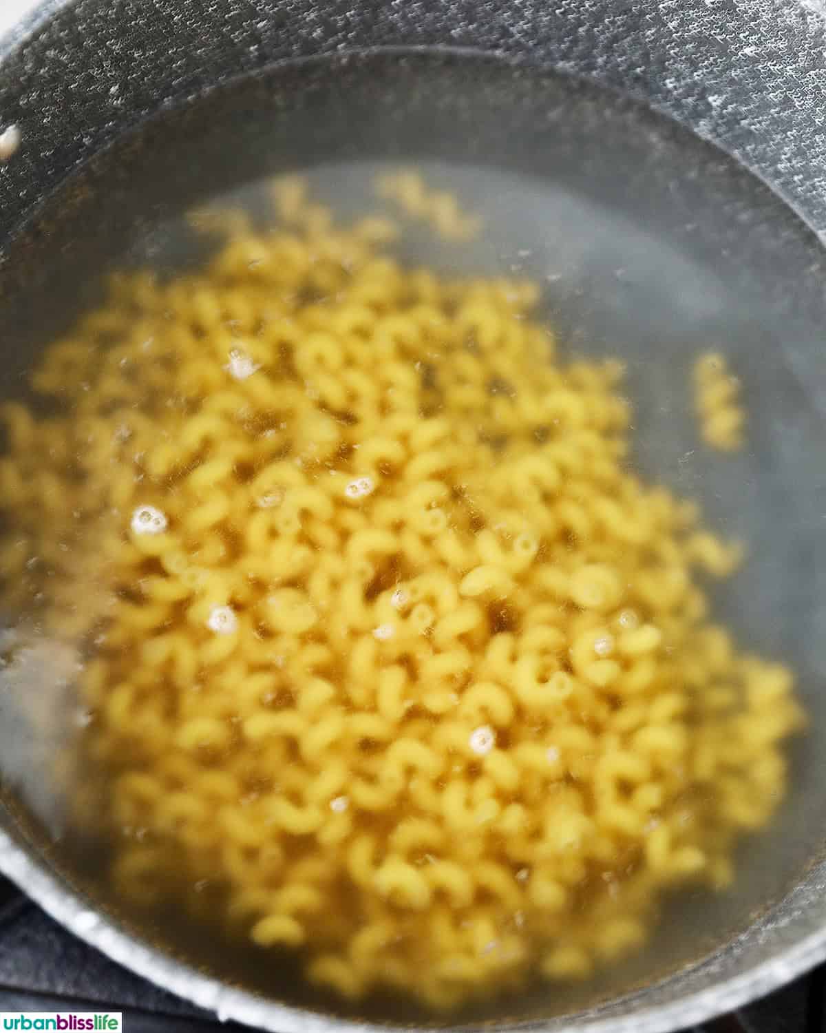 pasta in a pot of water.