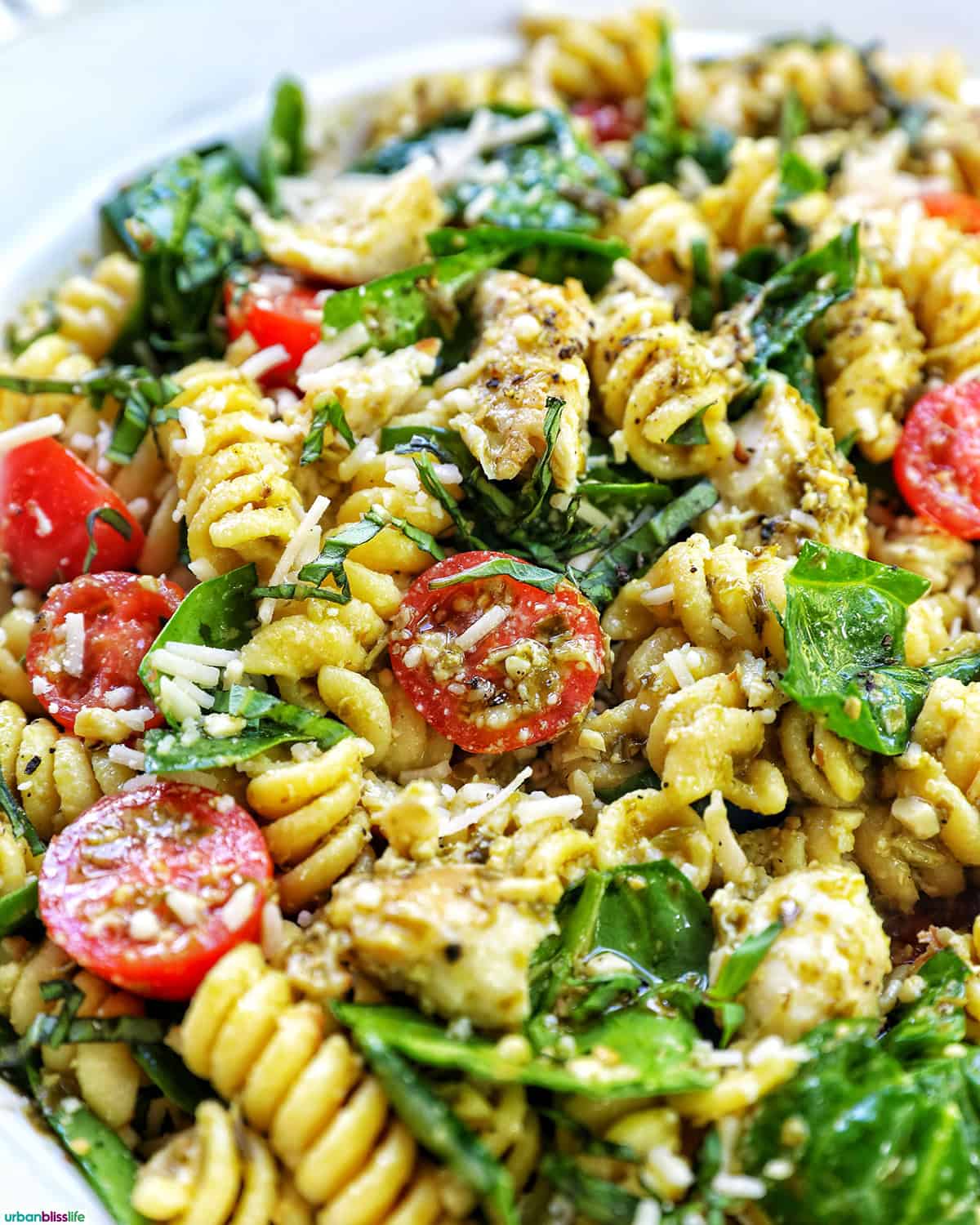bowl of chicken pesto pasta salad.