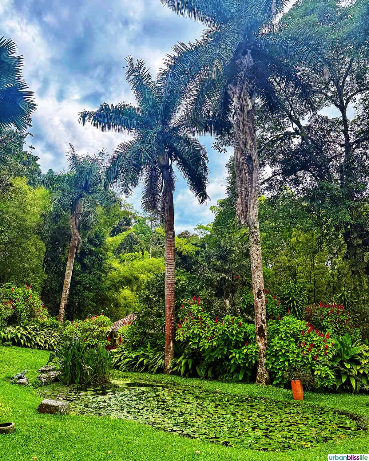 beautiful landscape at at Hacienda Venecia in Manizales, Colombia.