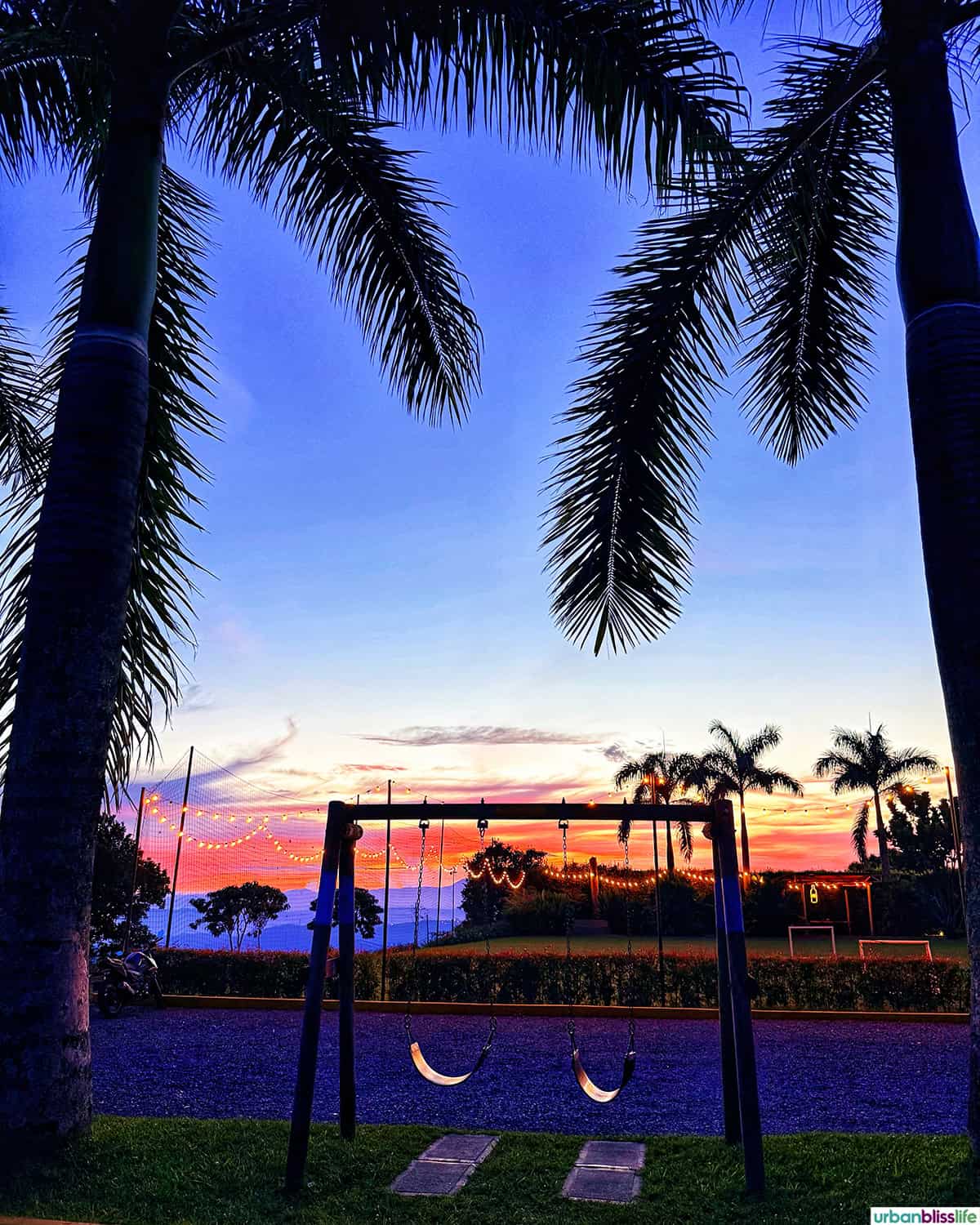 palm trees against the sunset at Hotel Atardeceres del Cafe in Manizales, Colombia.