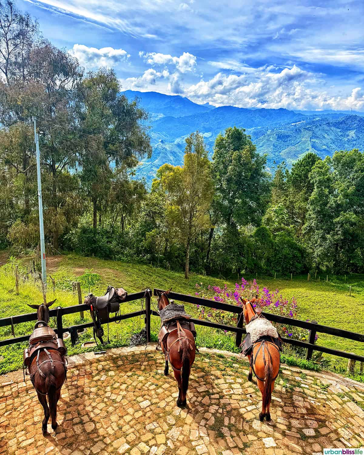 mule riding at La Juana in Manizales, Colombia.