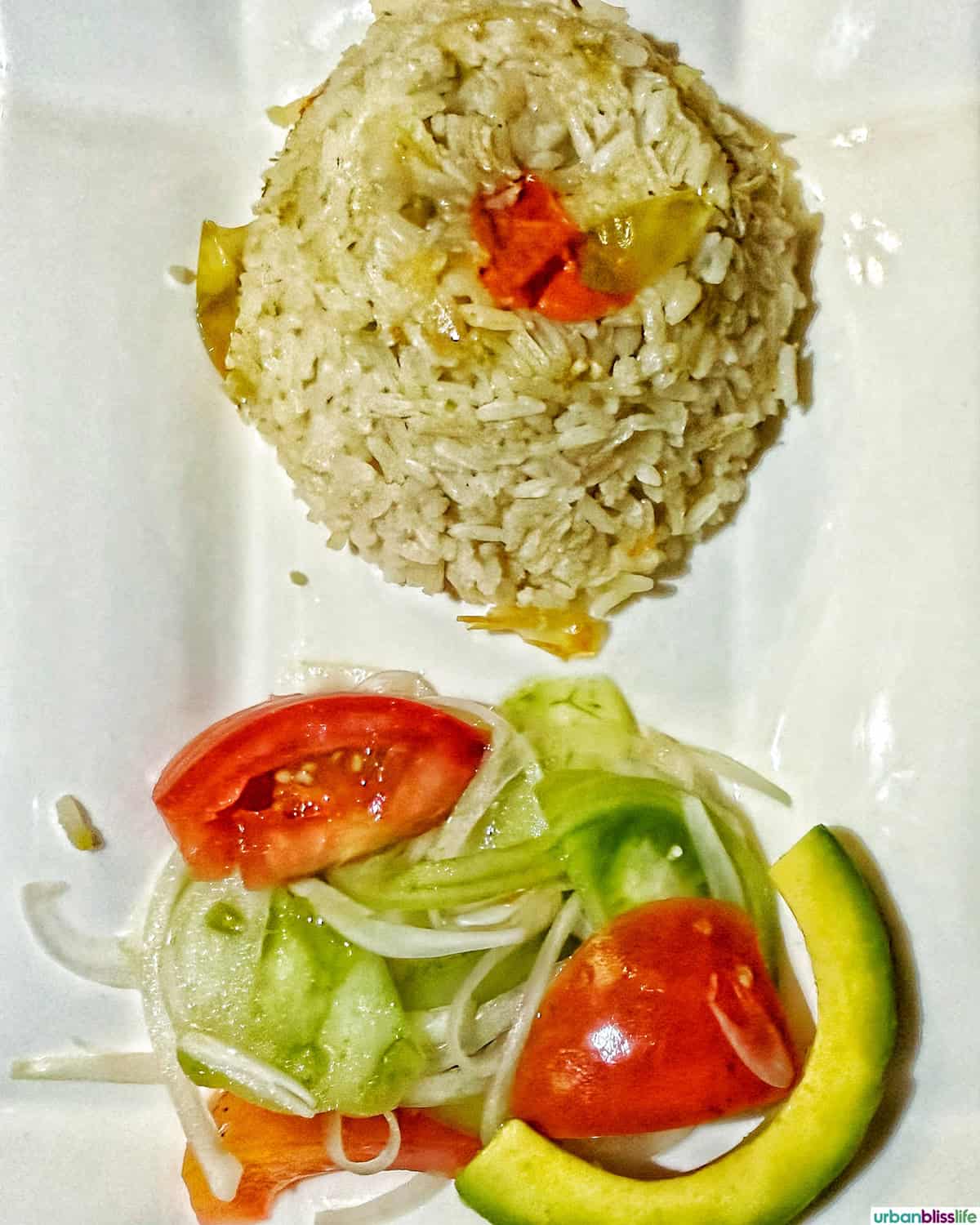 salad and rice plate at Ambrosia restaurant in Mompox. Colombia.