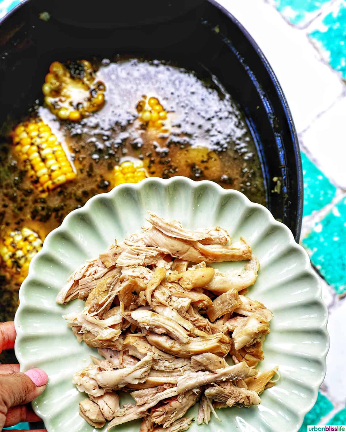 plate of shredded chicken thigh meat over a pot of Ajiaco soup.