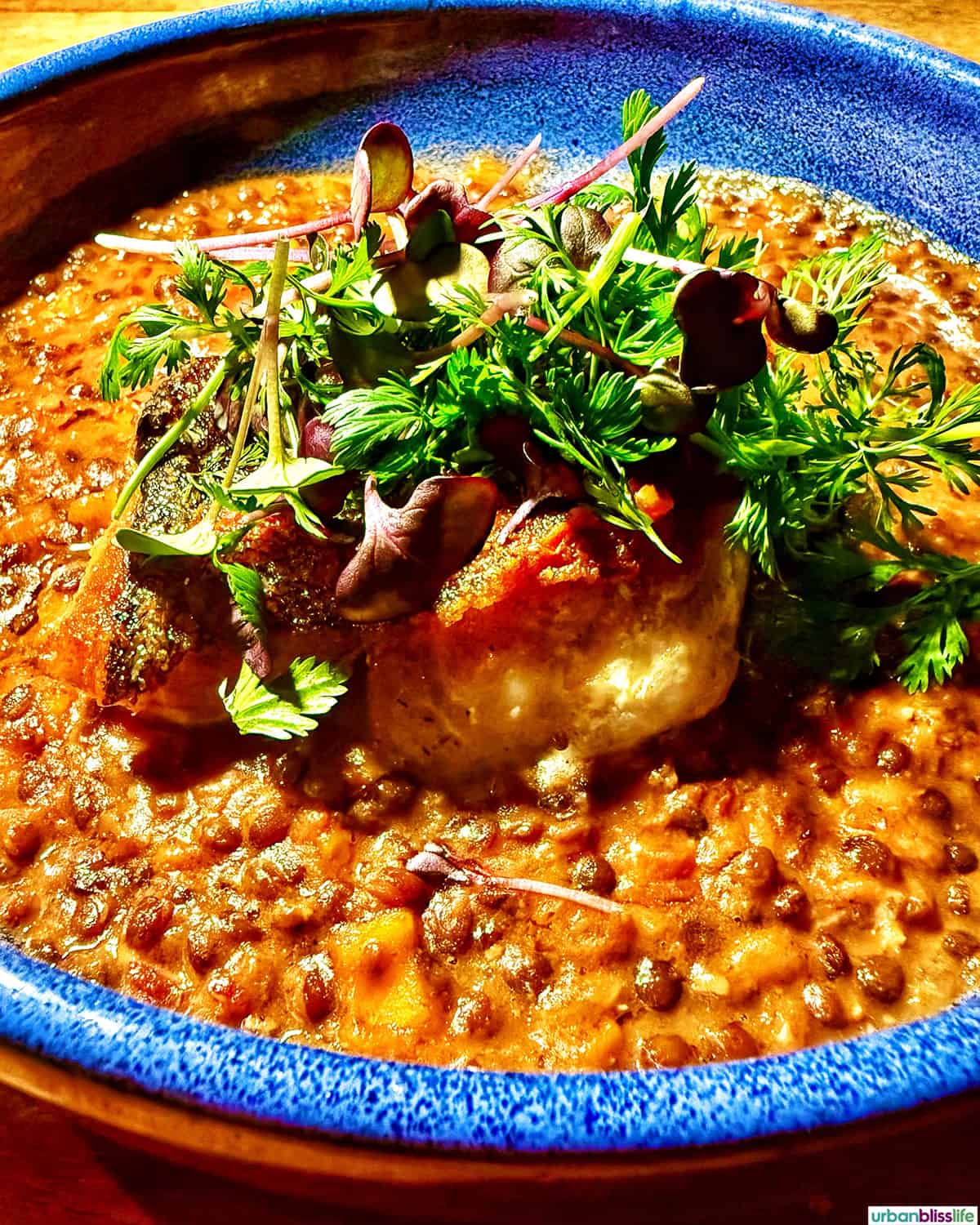 catch of the day dinner at Cocina del Mar restaurant.
