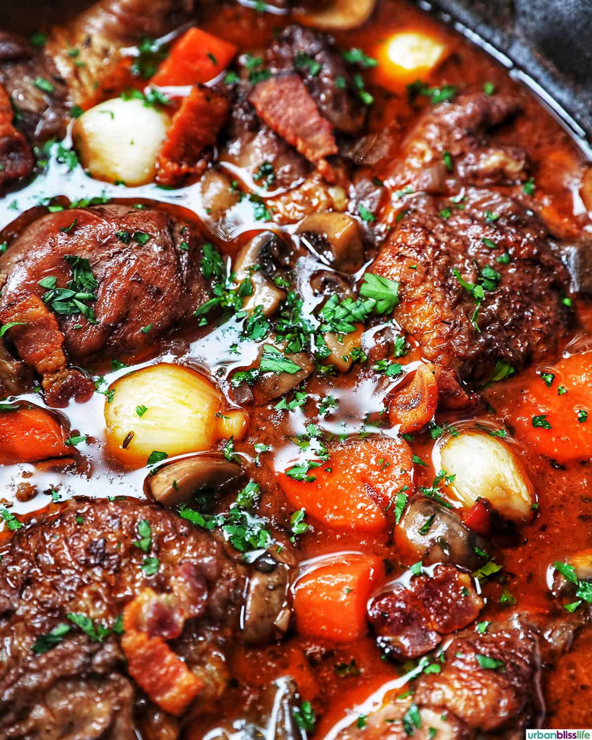 Coq au Vin in a Dutch oven