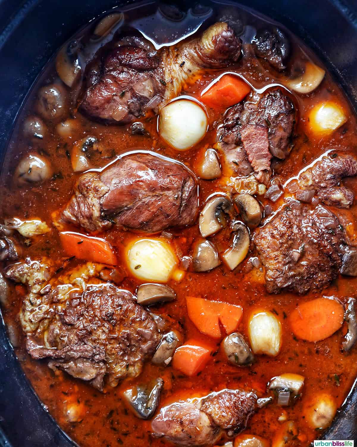 coq au vin in a dutch oven.