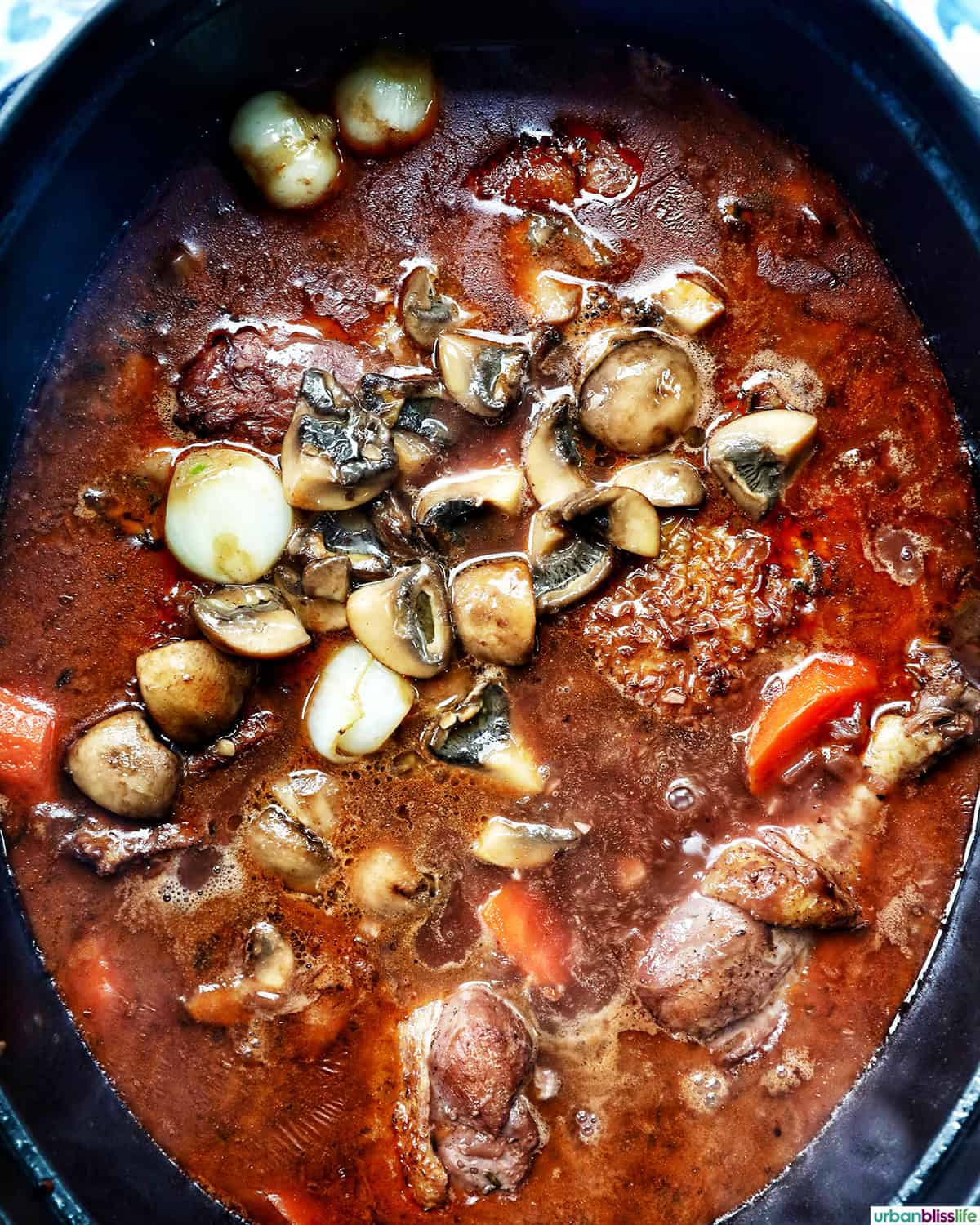 coq au vin in a dutch oven.