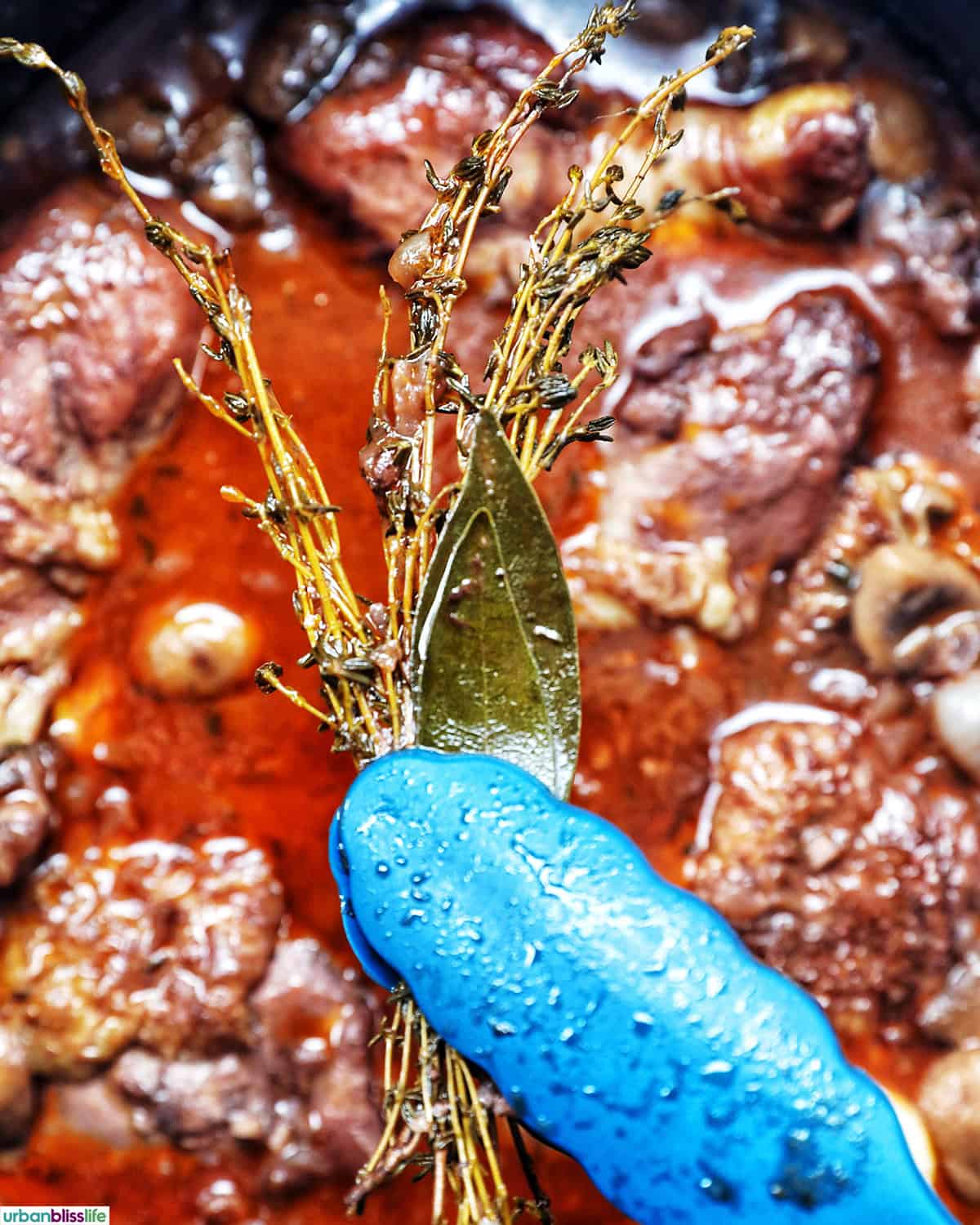 coq au vin in a dutch oven.