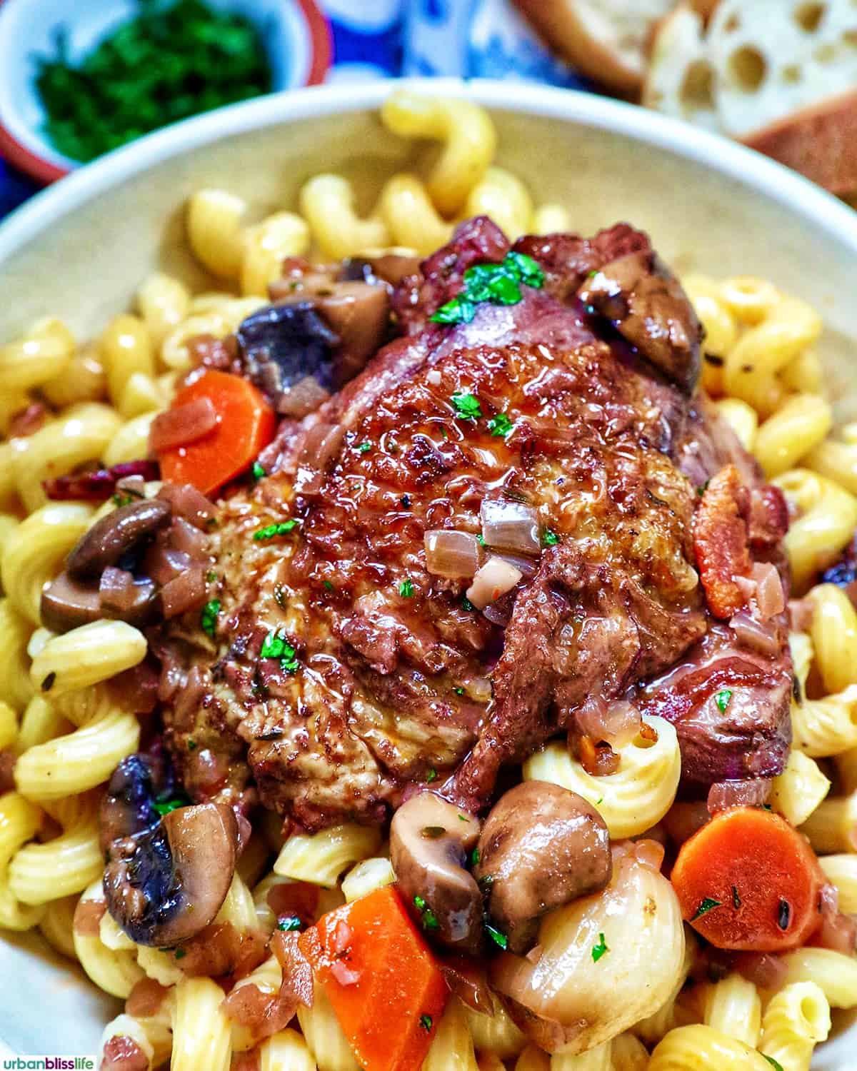 coq au vin over pasta.