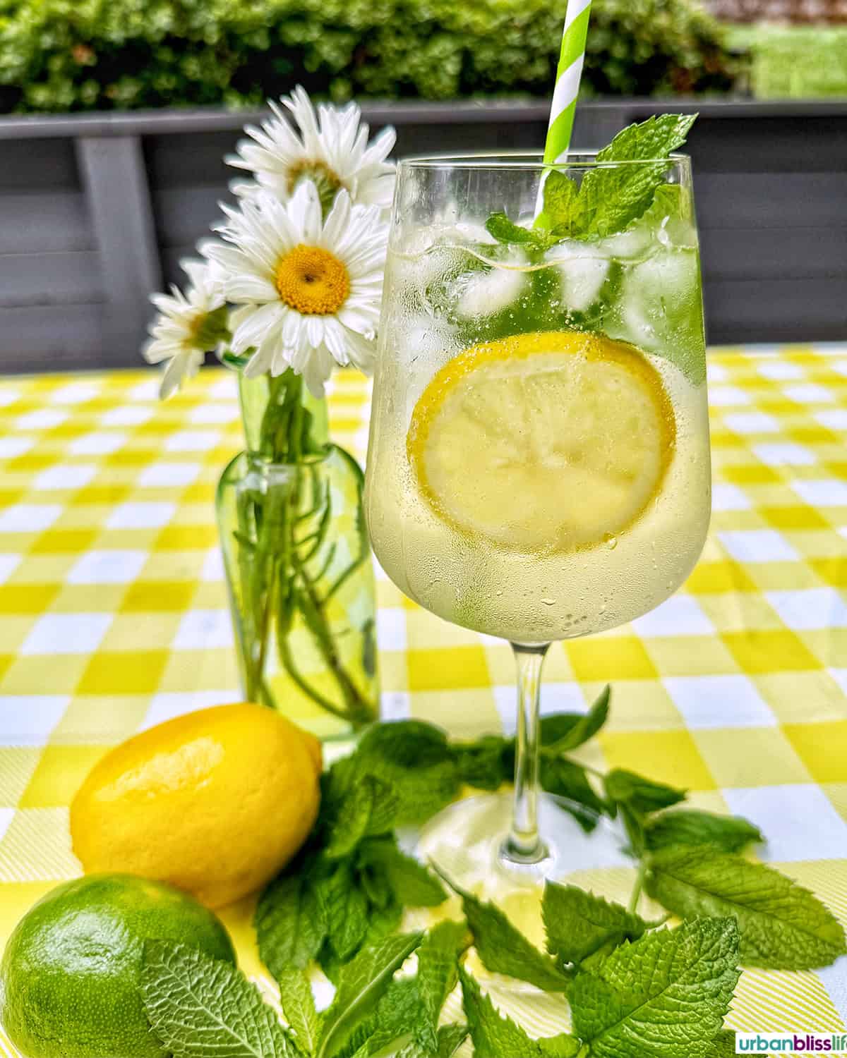 Hugo Spritz cocktail surrounded by mint leaves, limes, lemons, and vase of daisy flowers on yellow checkered tablecloth.
