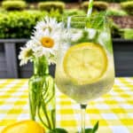 Hugo Spritz cocktail surrounded by mint leaves, limes, lemons, and vase of daisy flowers on yellow checkered tablecloth.