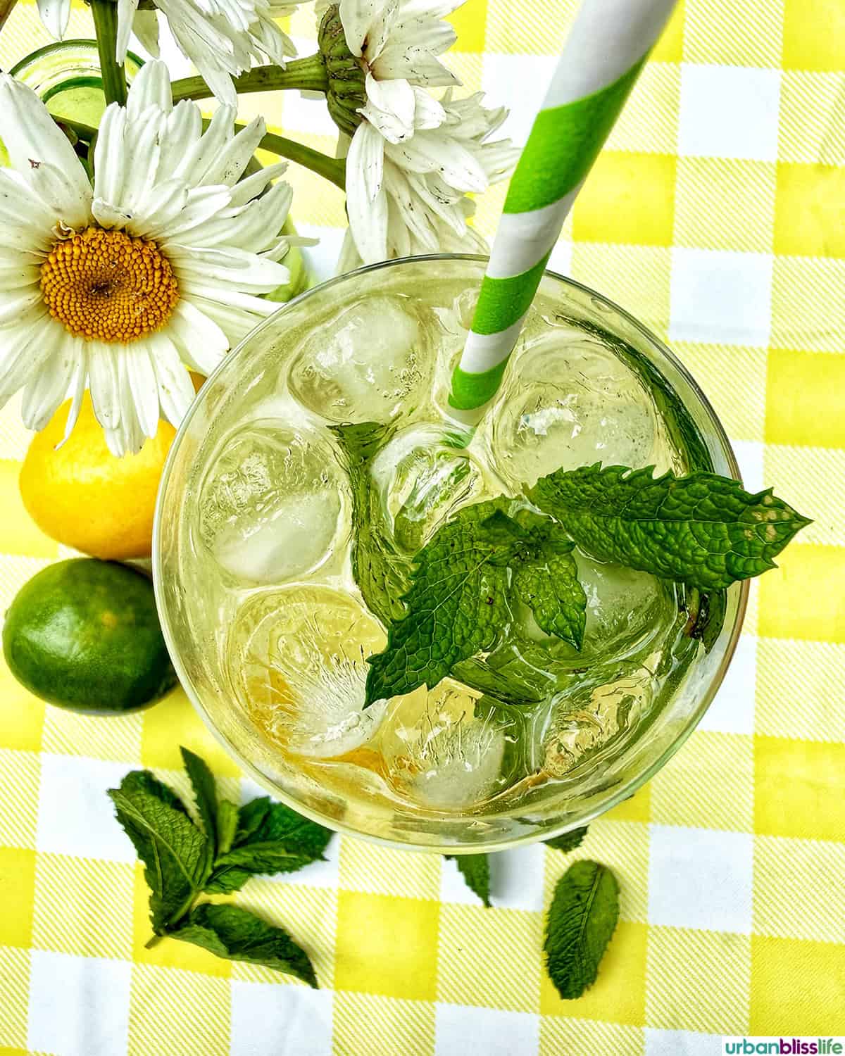 Hugo Spritz cocktail surrounded by mint leaves, limes, lemons, and vase of daisy flowers on yellow checkered tablecloth.