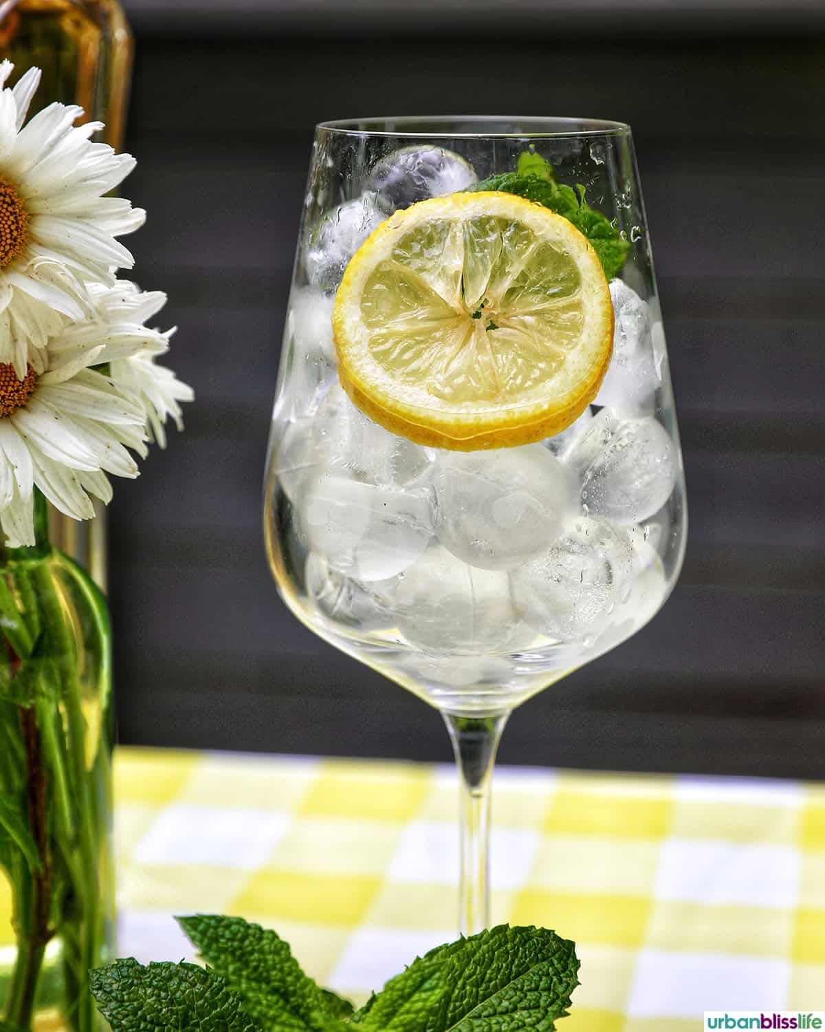 glass of ice cubs and lemon slice.