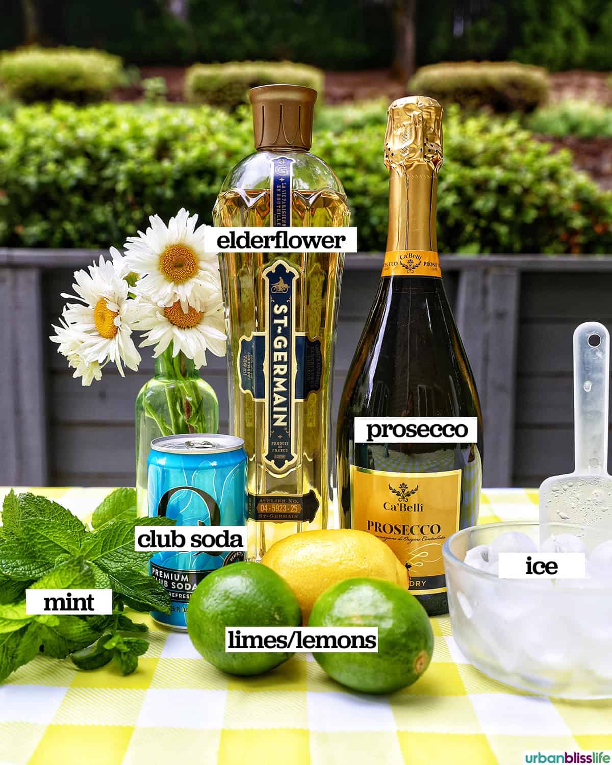ingredients to make a Hugo Spritz cocktail: ice, elderflower liqueur, prosecco, club soda.