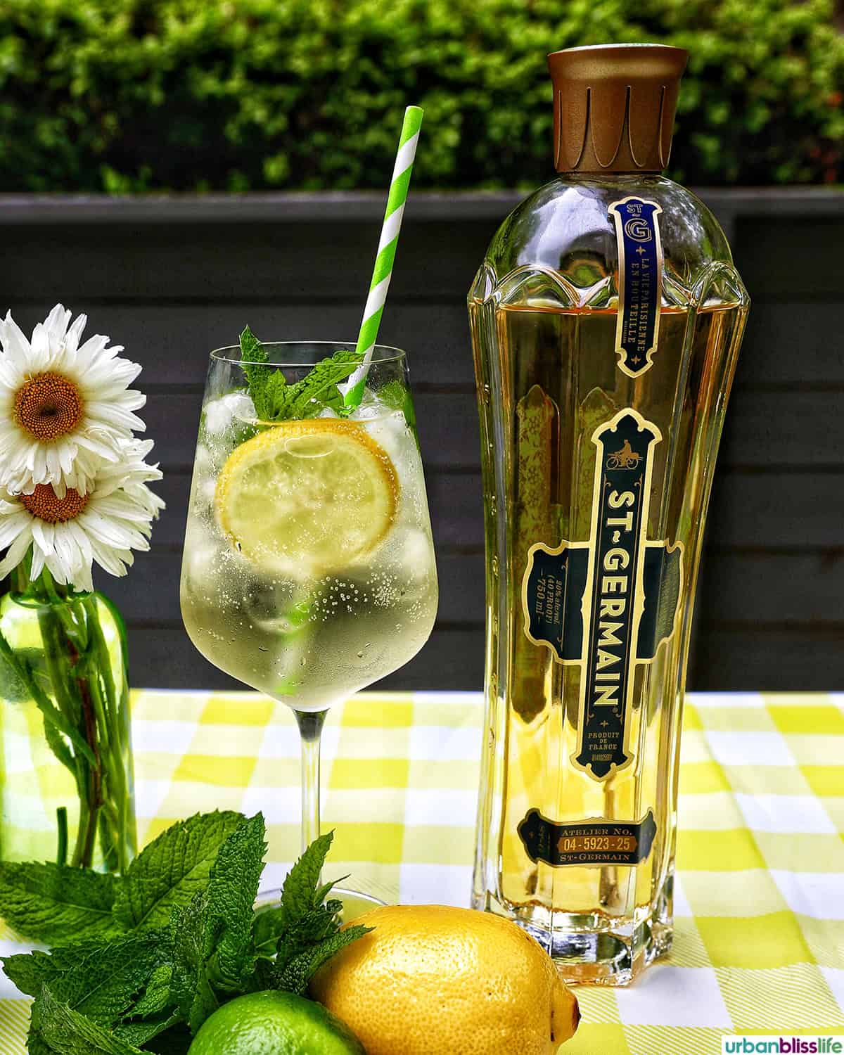 Hugo Spritz cocktail next to bottle of St Germain elderflower liqueur, surrounded by mint leaves, limes, lemons, and vase of daisy flowers on yellow checkered tablecloth.