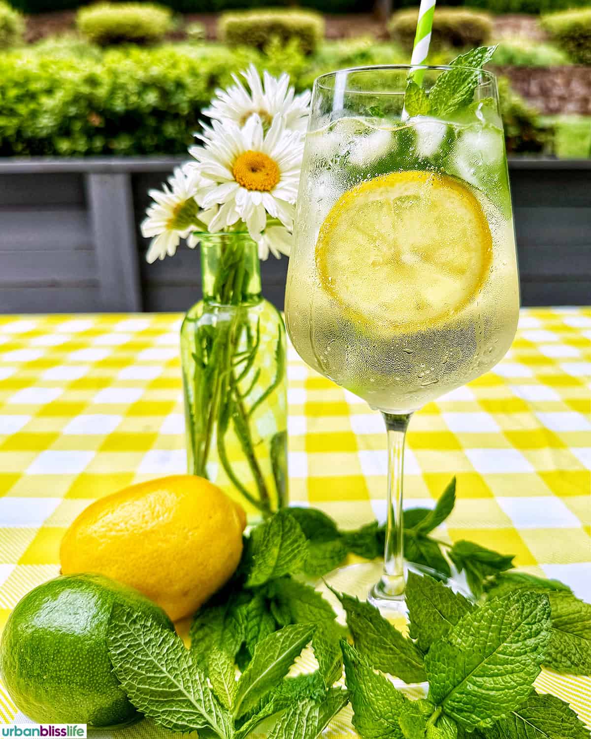 Hugo Spritz cocktail surrounded by mint leaves, limes, lemons, and vase of daisy flowers on yellow checkered tablecloth.
