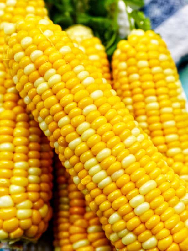 stack of corn on the cobs.
