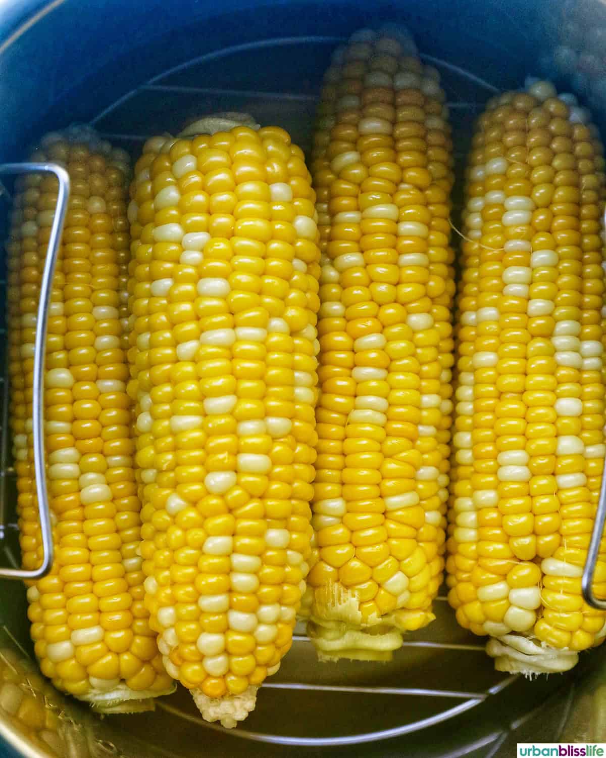 stack of corn on the cobs in an Instant Pot.