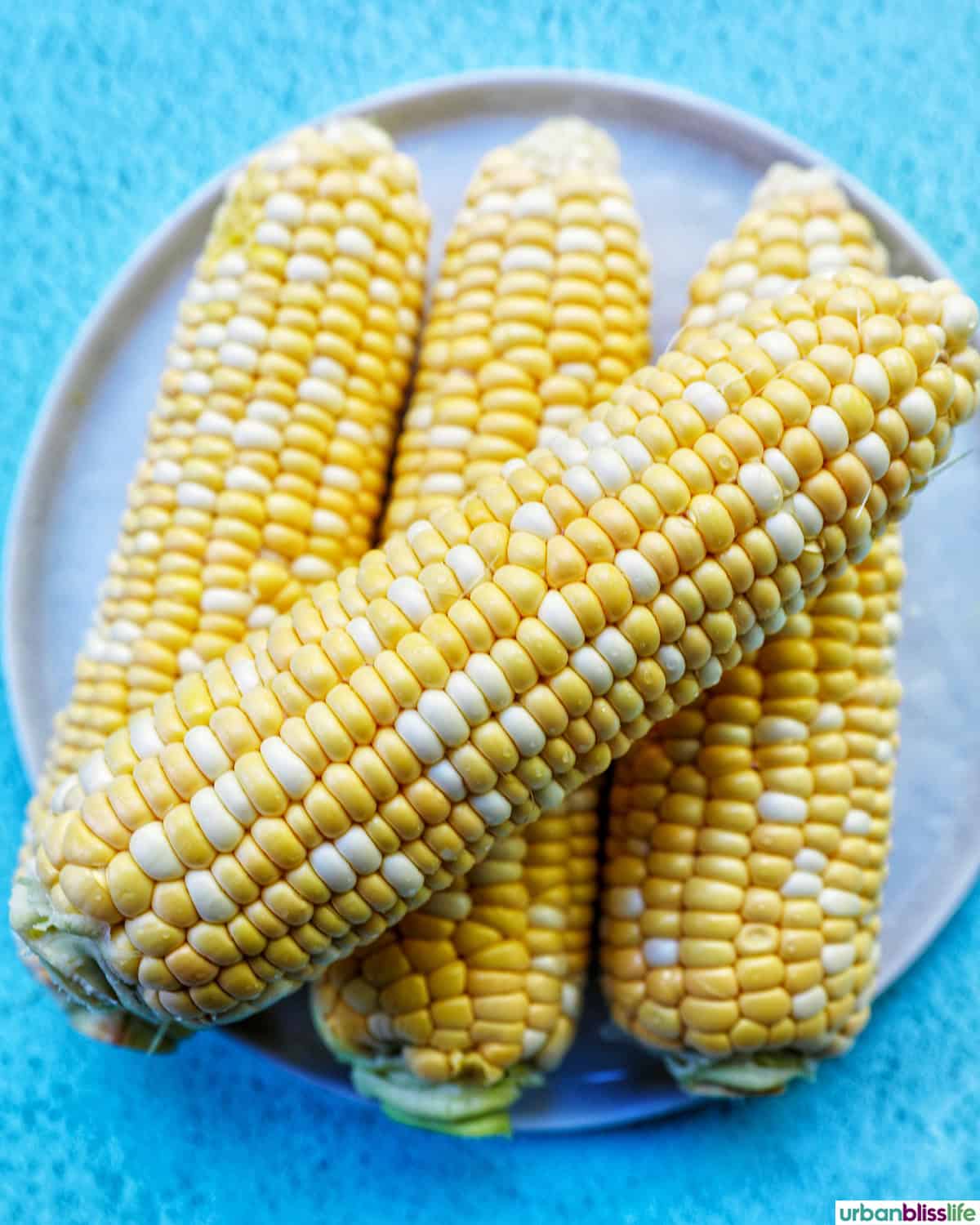 stack of uncooked corn on the cob.