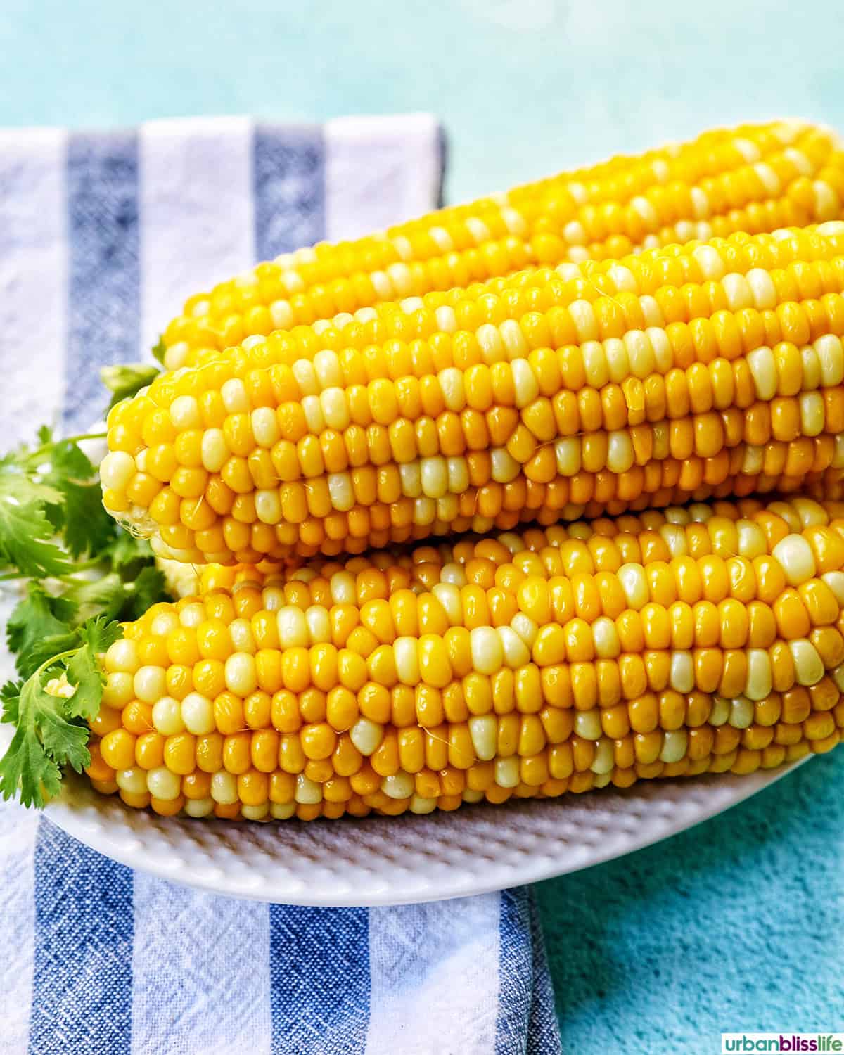 stack of corn on the cob.