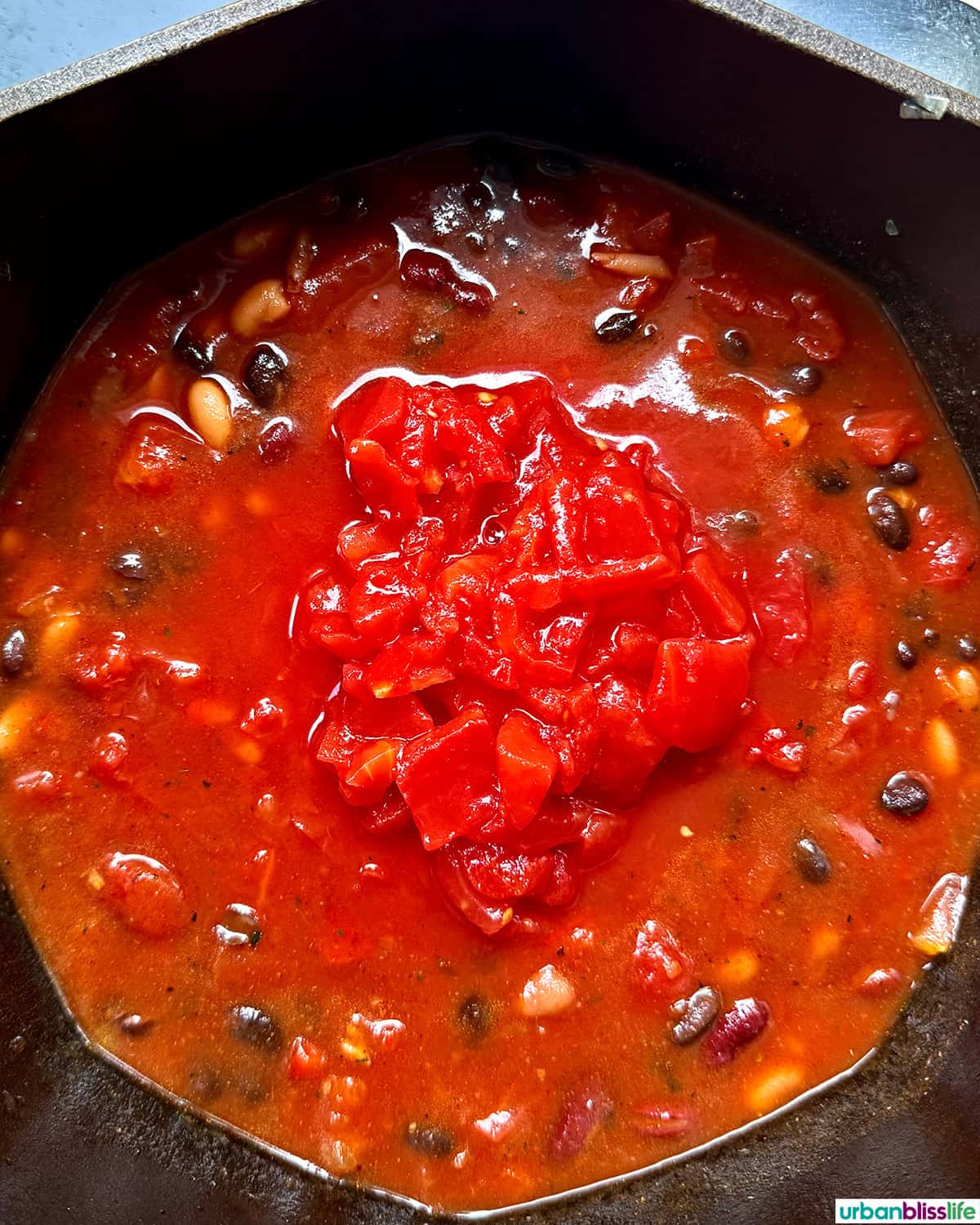 dutch oven with vegan chili.