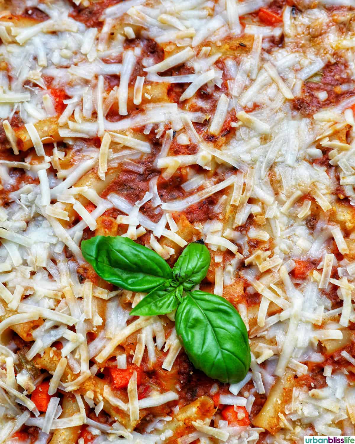 baked pasta bolognese.