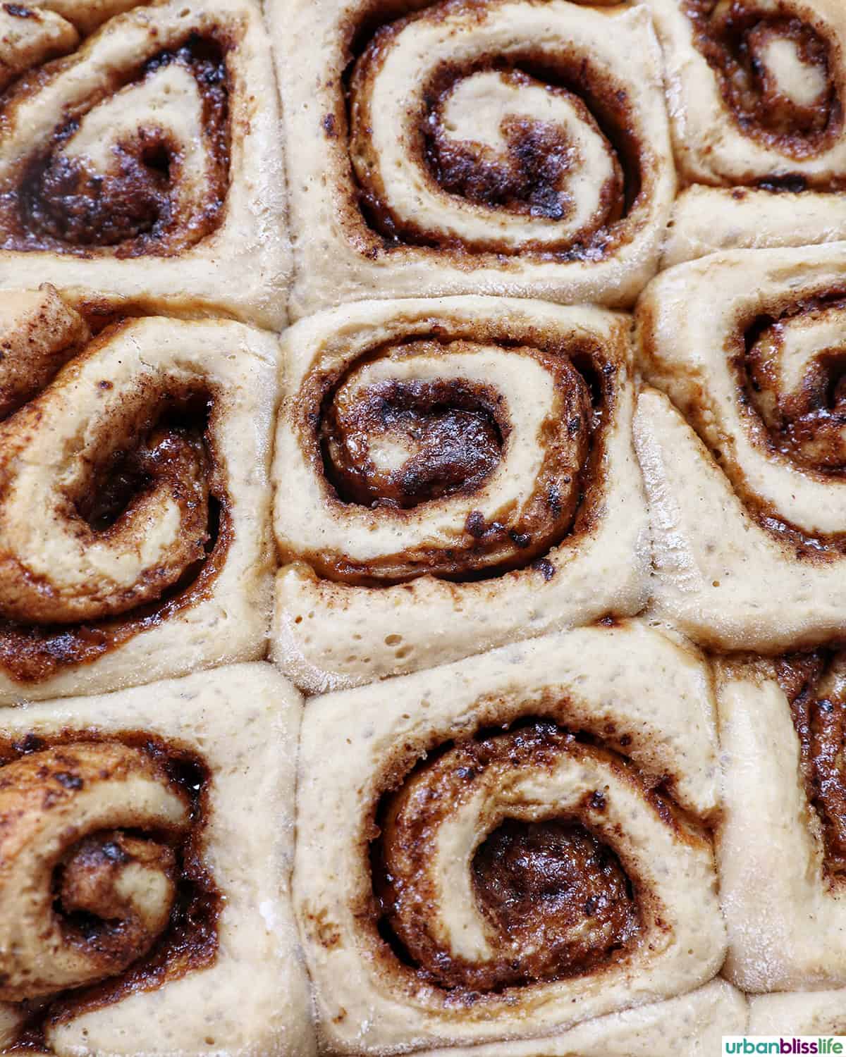 sliced coffee cinnamon rolls just baked.