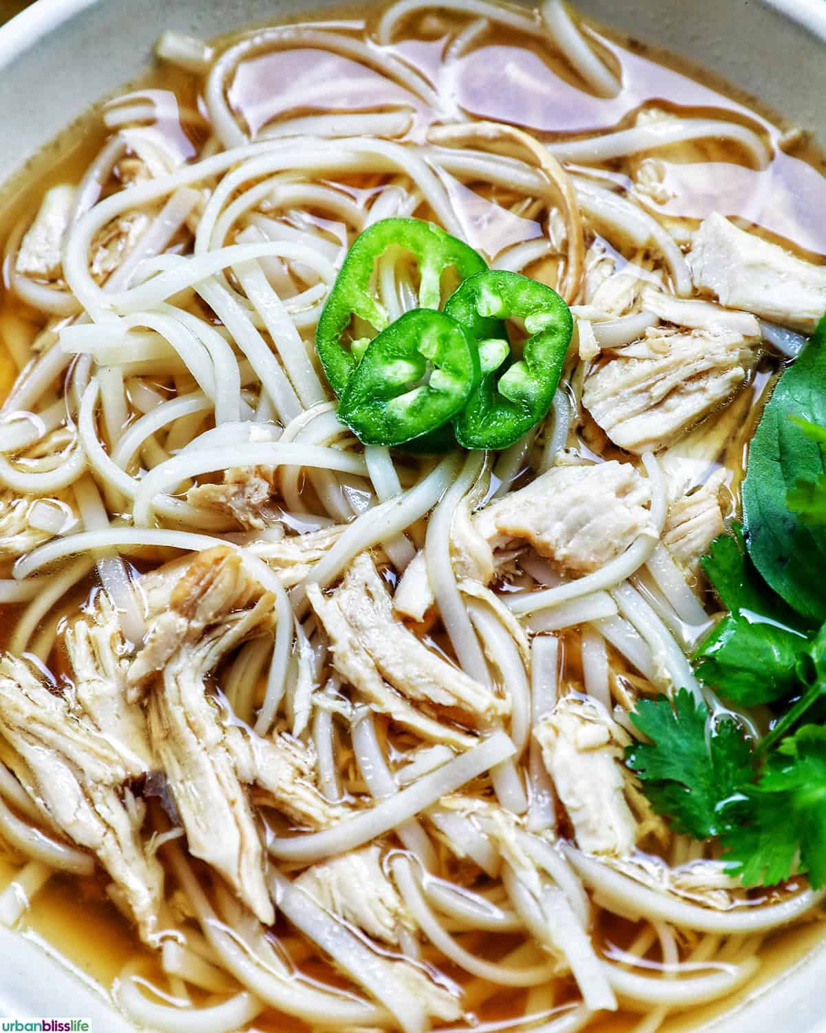 bowl of slow cooker chicken pho soup.