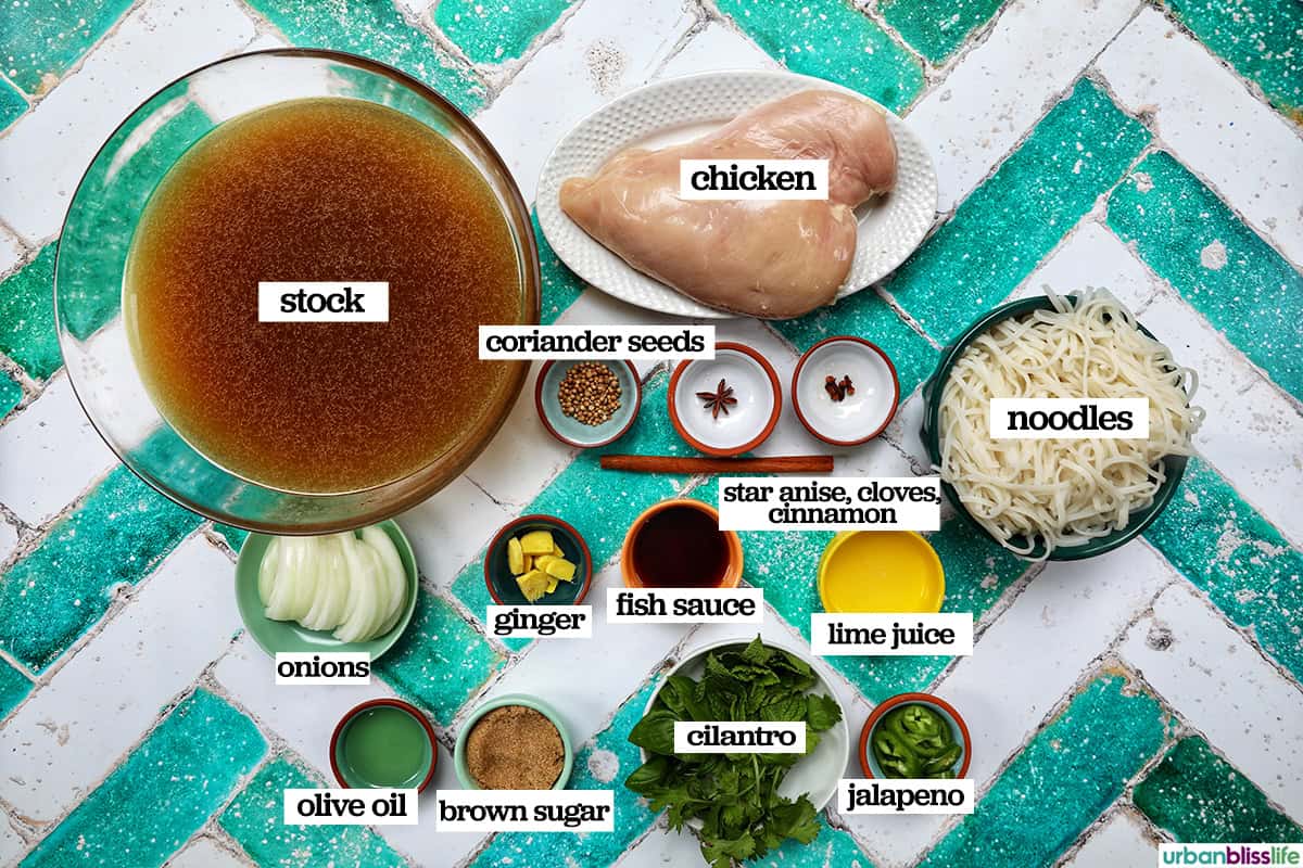 ingredients to make slow cooker chicken pho soup.