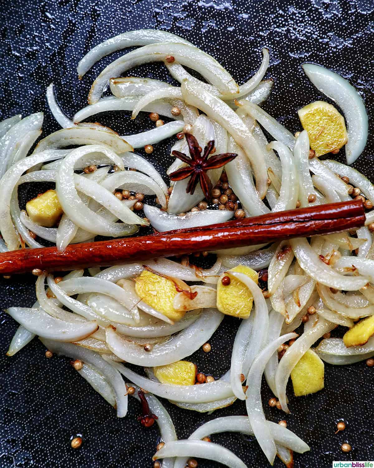 onions, ginger, cinnamon stick, star anise in a pan.