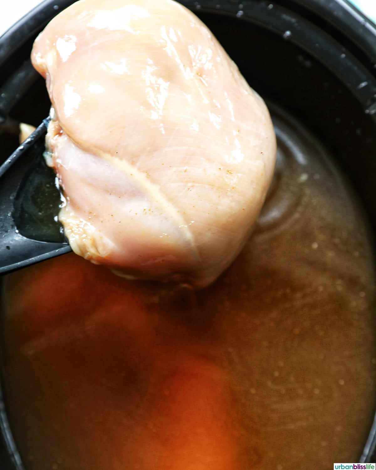 chicken above slow cooker.