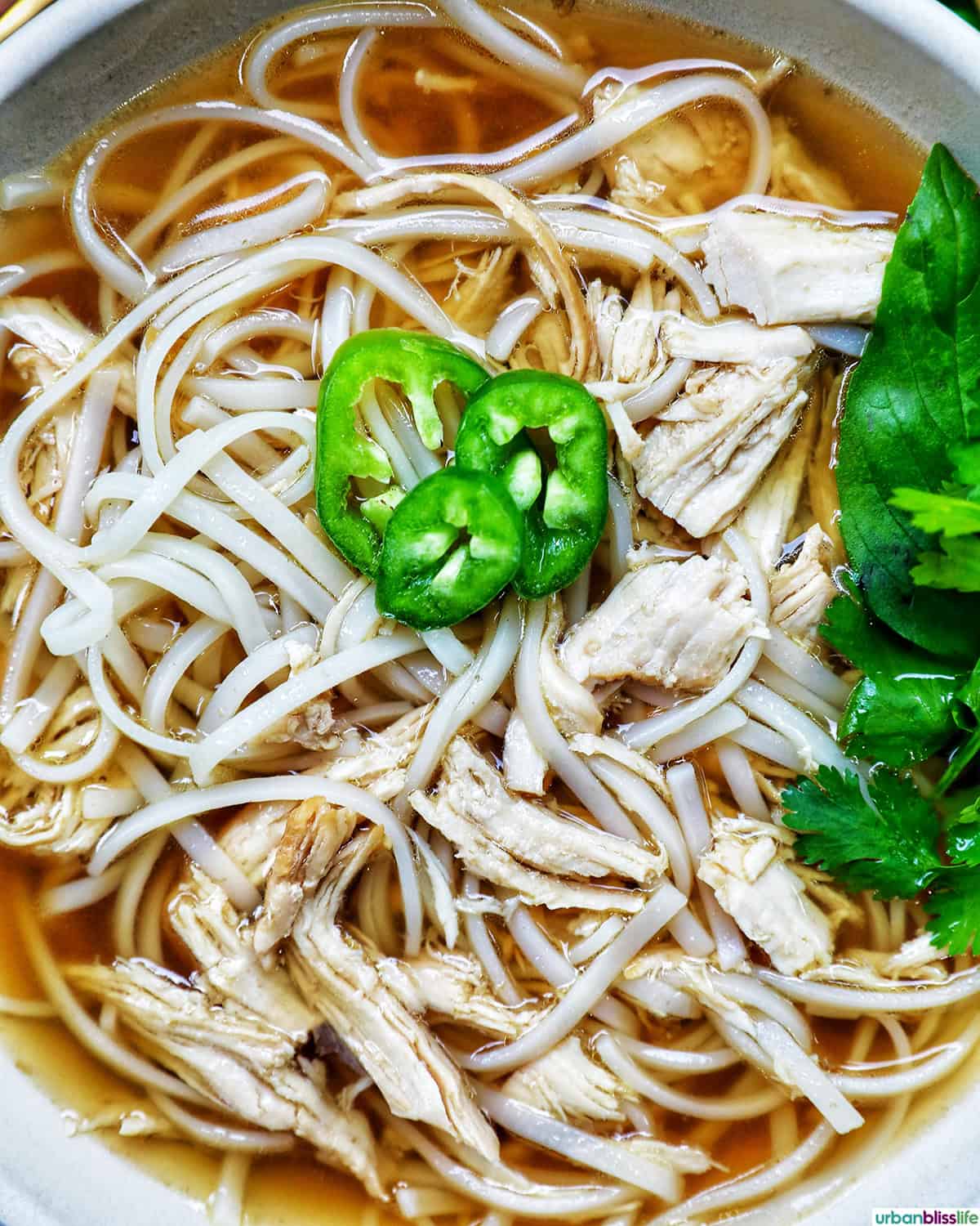 bowl of slow cooker chicken pho soup.